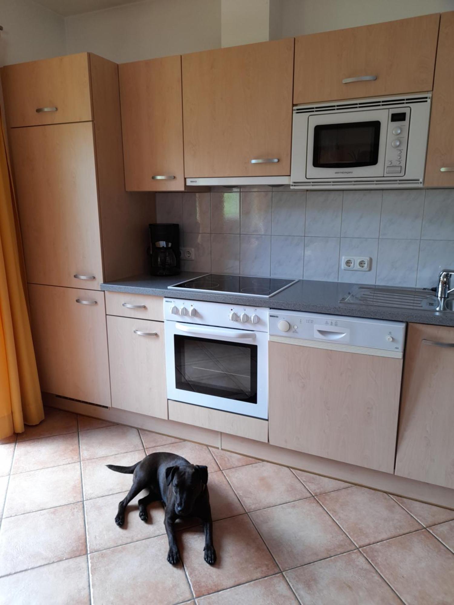 Appartement Hochmuth Ramsau im Zillertal Oda fotoğraf